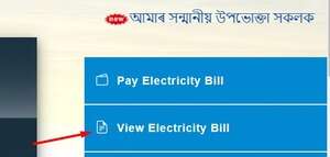 View Electricity APDCL Bill